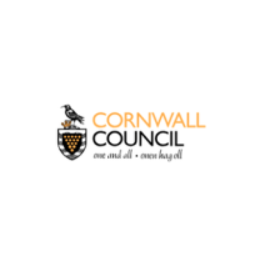 Developing Governance Talent at Cornwall Council