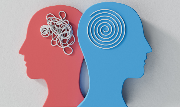 The Optimised Mind
