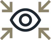 Vision icon